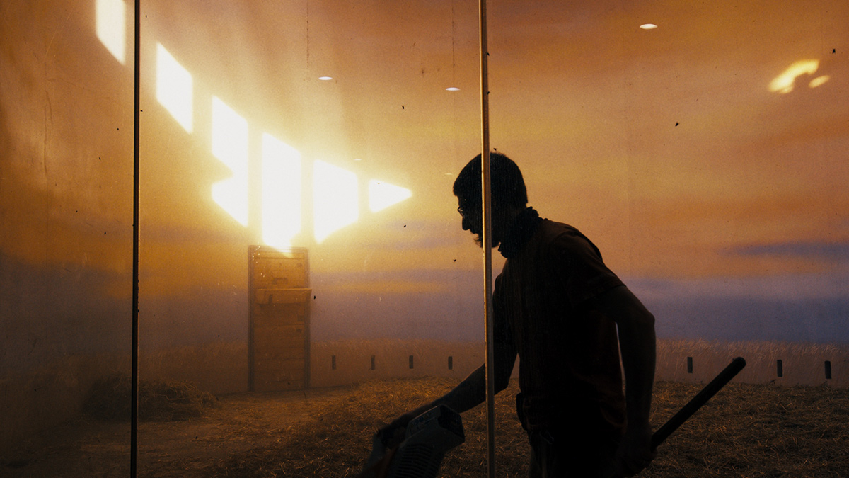 Filmstill AMMA, DO GIRAFFES CRY