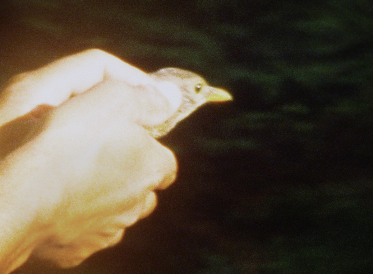 Filmstill PER LUFTLINIE/À VOL D‘OISEAU