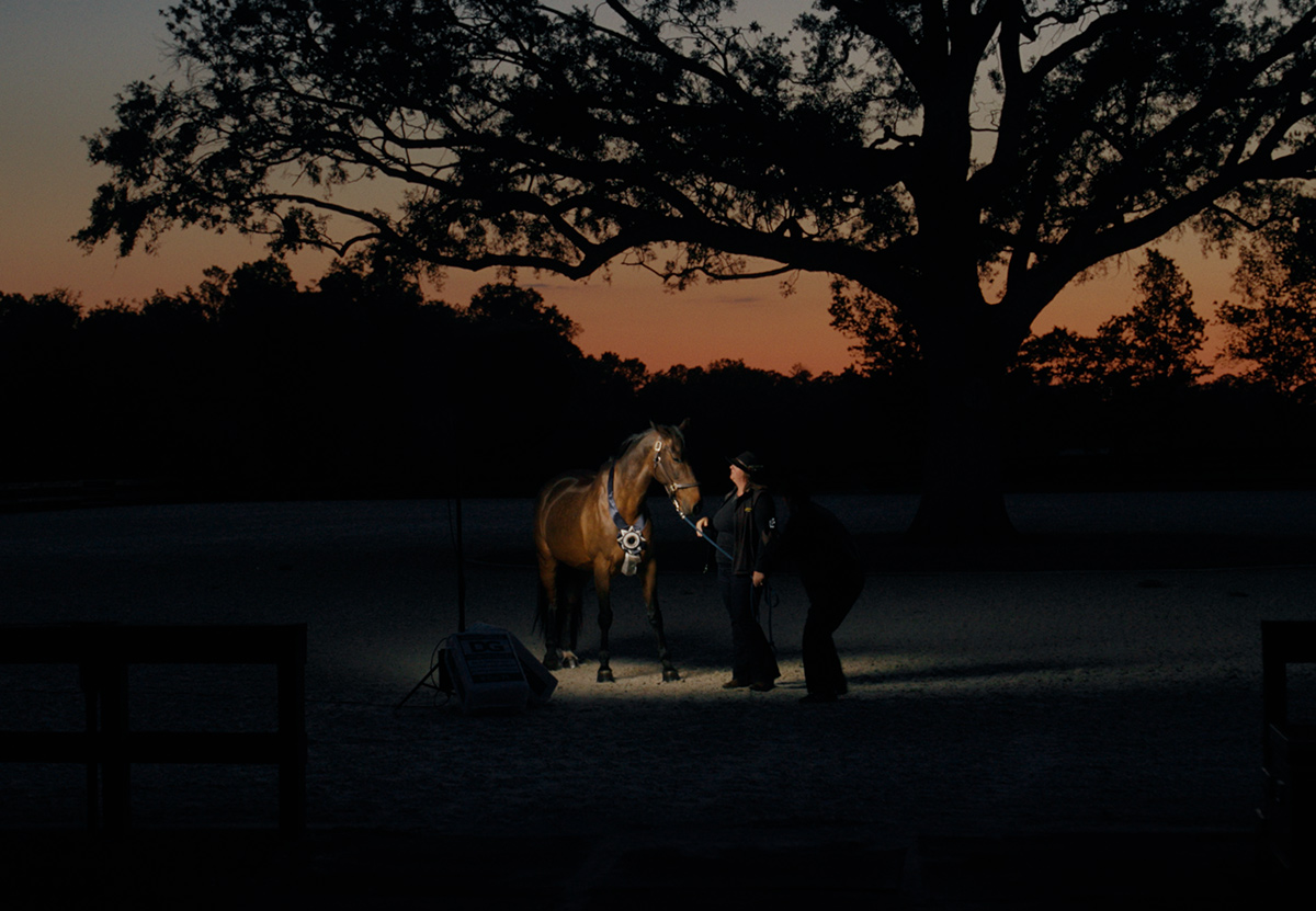 Filmstill AIR HORSE ONE
